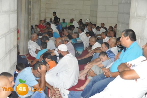 bazsalah lud 712 (14).JPG